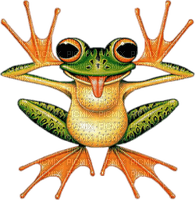 Kaz_Creations Frogs Frog - PNG gratuit