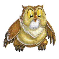Kaz_Creations Birds Bird Owls Owl - Бесплатный анимированный гифка