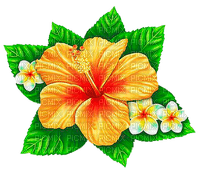 Y.A.M._Summer flowers - PNG gratuit