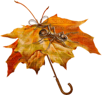 deco autumn automne leaves feuilles - Free PNG