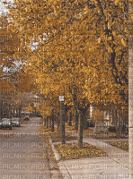 Autumn.Automne.Landscape.gif.Victoriabea - GIF animado grátis