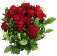 red roses - Free PNG