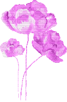 Kaz_Creations Flowers-Colours 💐 🌸 🌺 - GIF animé gratuit