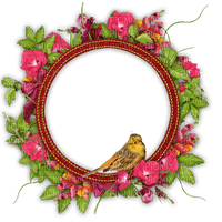 Pink roses wreath with bird frame - zadarmo png