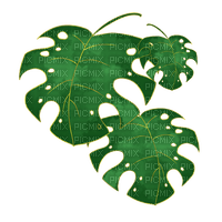 tropical leaves Bb2 - 免费PNG