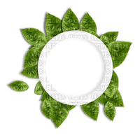 green frame leaves - zadarmo png