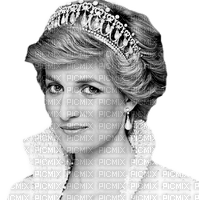 prinzessin Diana milla1959 - Free PNG