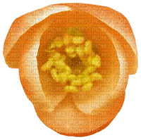 Orange blühte - darmowe png