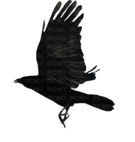 Ravens - фрее пнг