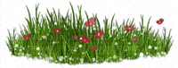 nbl - Grass flowers