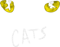 Cats  the musical bp - PNG gratuit