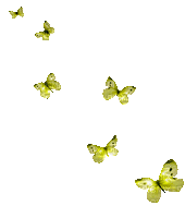 Schmetterlinge/Butterflys - 免费动画 GIF
