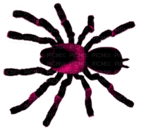 Spider.Black.Pink - Free PNG