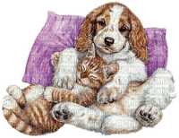 cat and dog - zdarma png