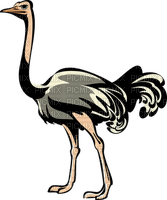 Kaz_Creations Ostrich  Birds Bird - png gratis