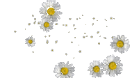 Blumen, Flowers - Ilmainen animoitu GIF