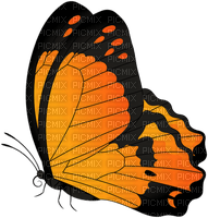 All  my butterflys - besplatni png