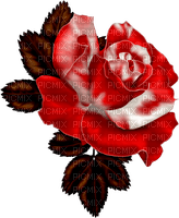 rose,red, fleur, Pelageya - gratis png