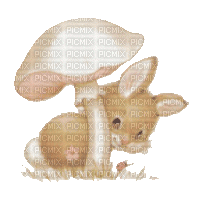 lapin champignon - 無料のアニメーション GIF