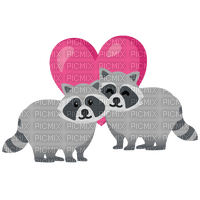 raccoon hearts - nemokama png
