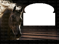 Cavalo - GIF animé gratuit
