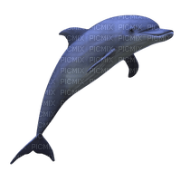 Dolphin.Blue - PNG gratuit