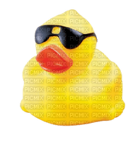rubber ducky - Free PNG