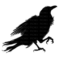 Raven - png ฟรี