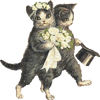Cats, Katzen, Brautpaar, Vintage - 無料のアニメーション GIF