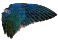 blue wings - png gratuito