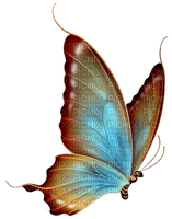 Butterfly - png grátis