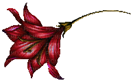 red flower glitter - Darmowy animowany GIF