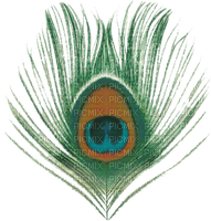 peacock feathers bp - бесплатно png