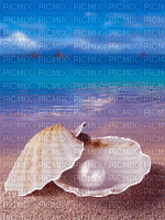 pearl shell bp - Gratis geanimeerde GIF