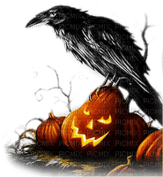 soave deco bird halloween pumpkin black white - безплатен png