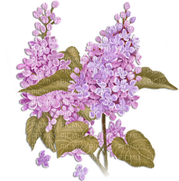soave deco flowers branch spring lilac purple - 免费PNG
