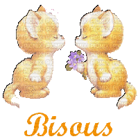 bisous chat - Δωρεάν κινούμενο GIF