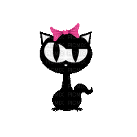 silhouette cat - 免费动画 GIF