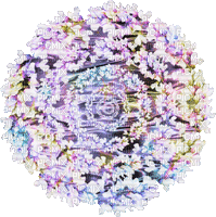 flower fleur fleurs blumen  spring  overlay tube deco  summer ete  blossom circle effect fond animated animation gif anime pink abstract - GIF animé gratuit