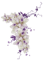 white flowers vine - бесплатно png