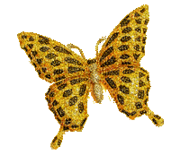 golden butterfly - Free animated GIF