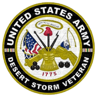 Desert Storm Vet PNG - png gratis