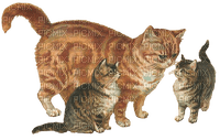 vintage cats - PNG gratuit