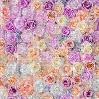 Flowers Background.♥ - PNG gratuit