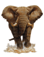 elefante - Free PNG