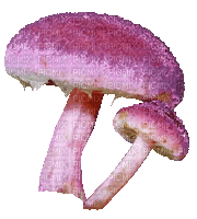 mushrooms - GIF animado grátis