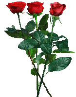 Róże - Gratis animeret GIF