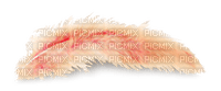 plume - PNG gratuit