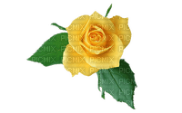 yellow rose - gratis png