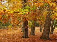 syksy  autumn  landscape  maisema - png gratuito